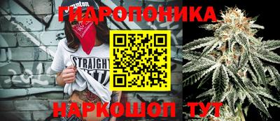ГАЛЛЮЦИНОГЕННЫЕ ГРИБЫ Коммунар