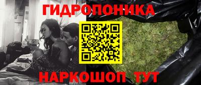ГАЛЛЮЦИНОГЕННЫЕ ГРИБЫ Коммунар