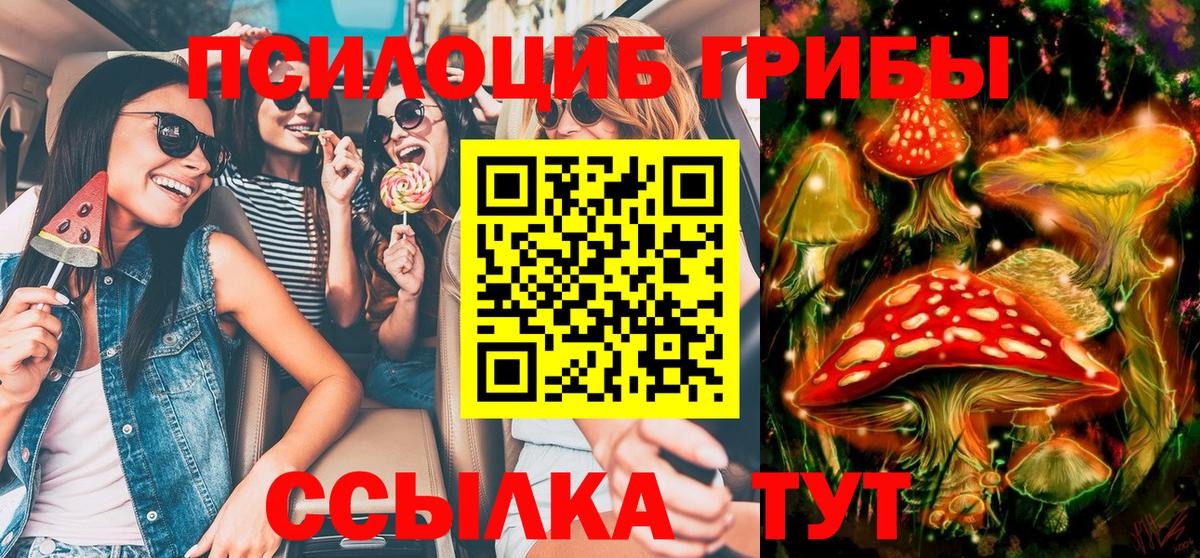 Псилоцибиновые грибы мухоморы  Вход с VPN  Кириши  Галлюциногенные грибы мицелий 